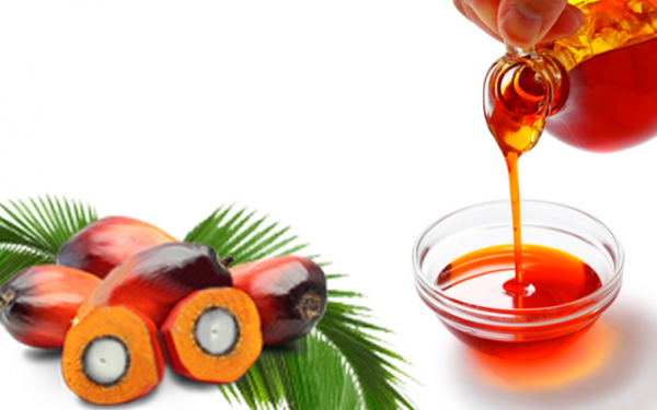 PALM OIL