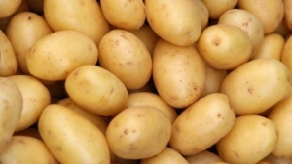 Fresh Potatoes